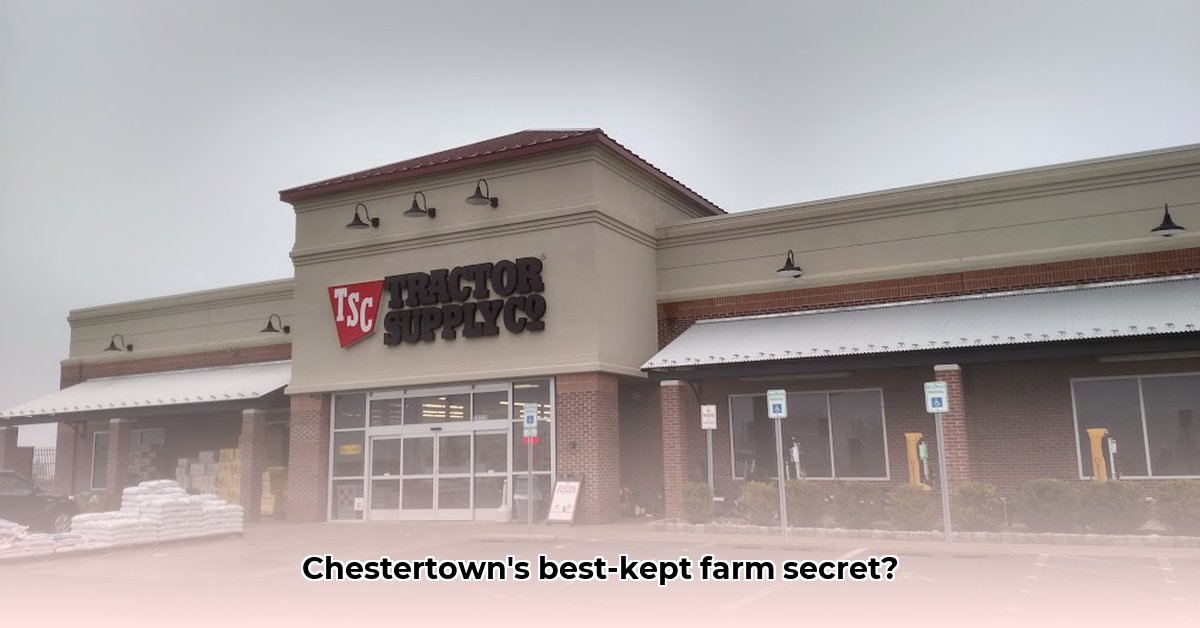 tractor-supply-chestertown-md